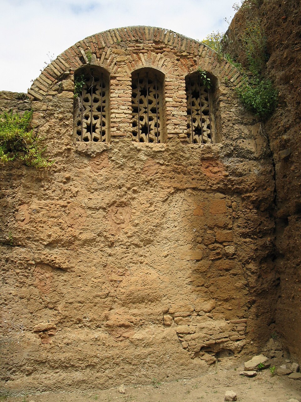 a tree with pink flowers in front of a store