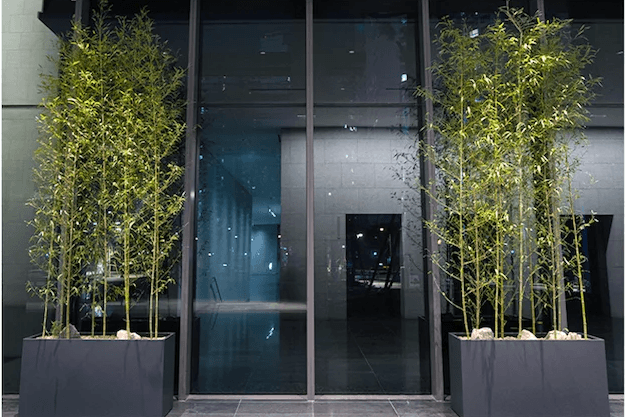 제조기업 로비 실내조경
