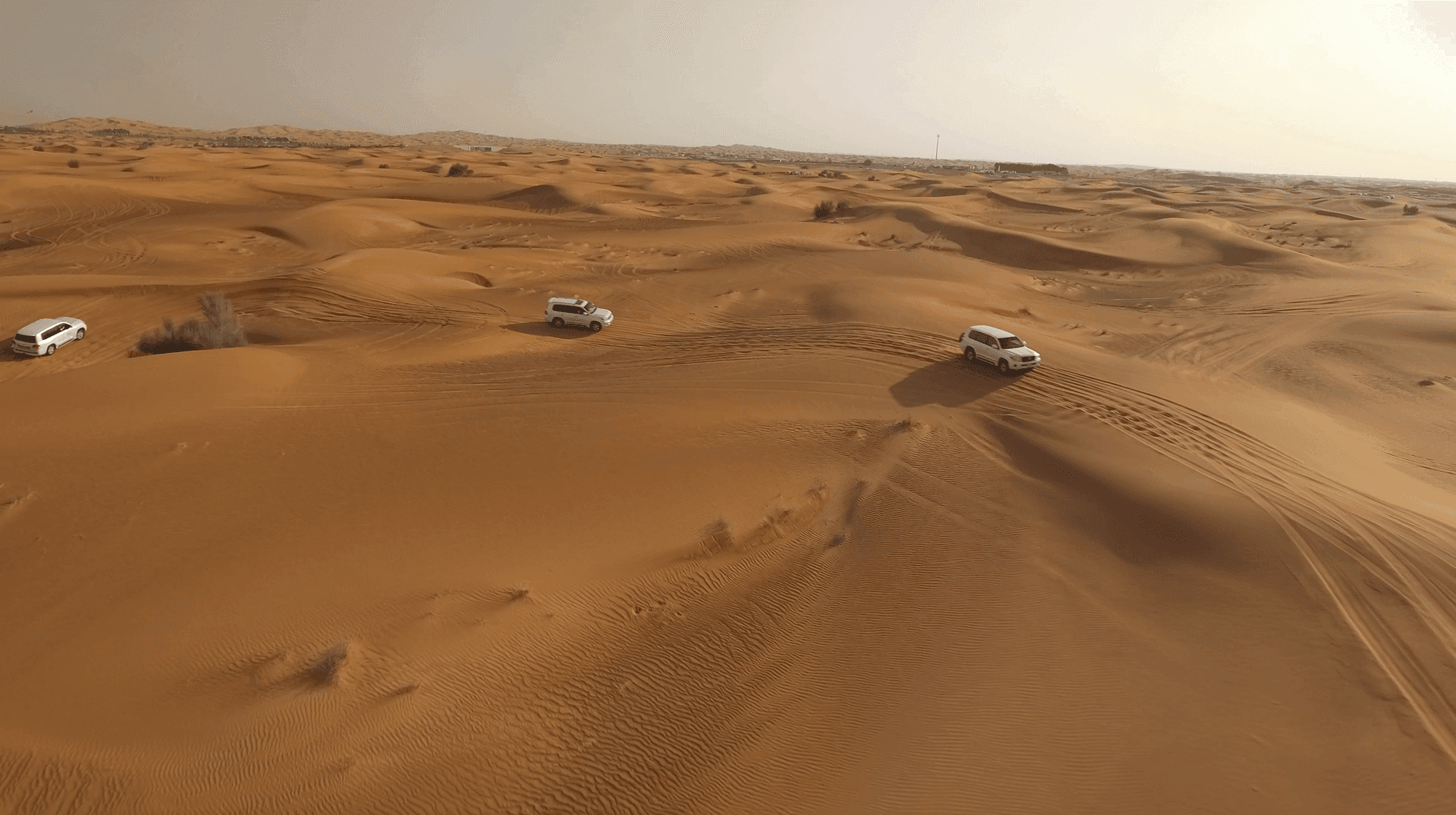 Service Photo Real Mehedi Free Framer Template Photography