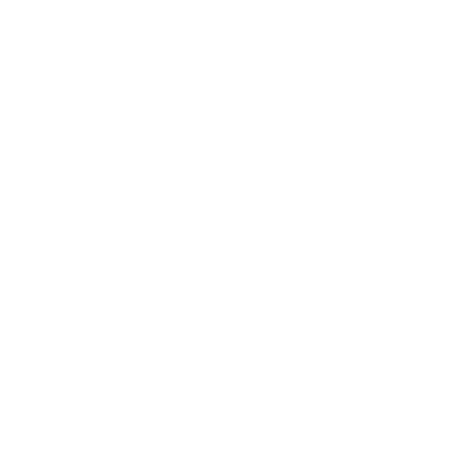 icon cs