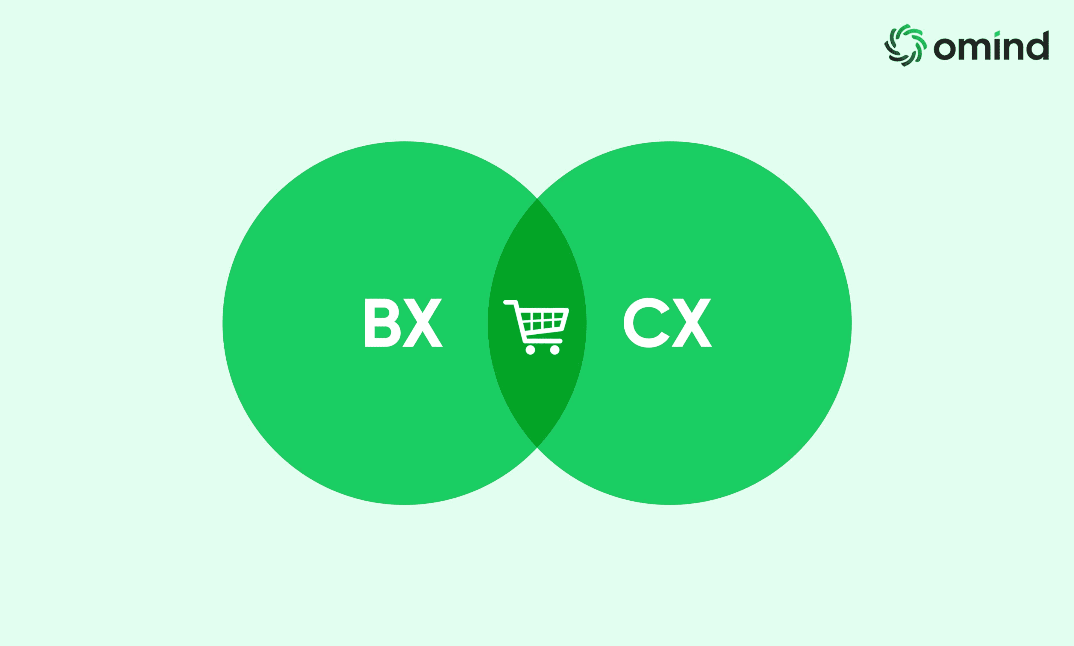 Evolution of CX to BX