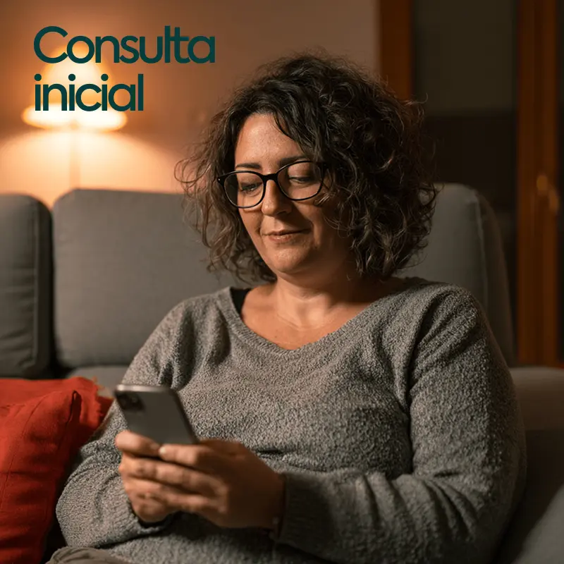 Consulta inicial