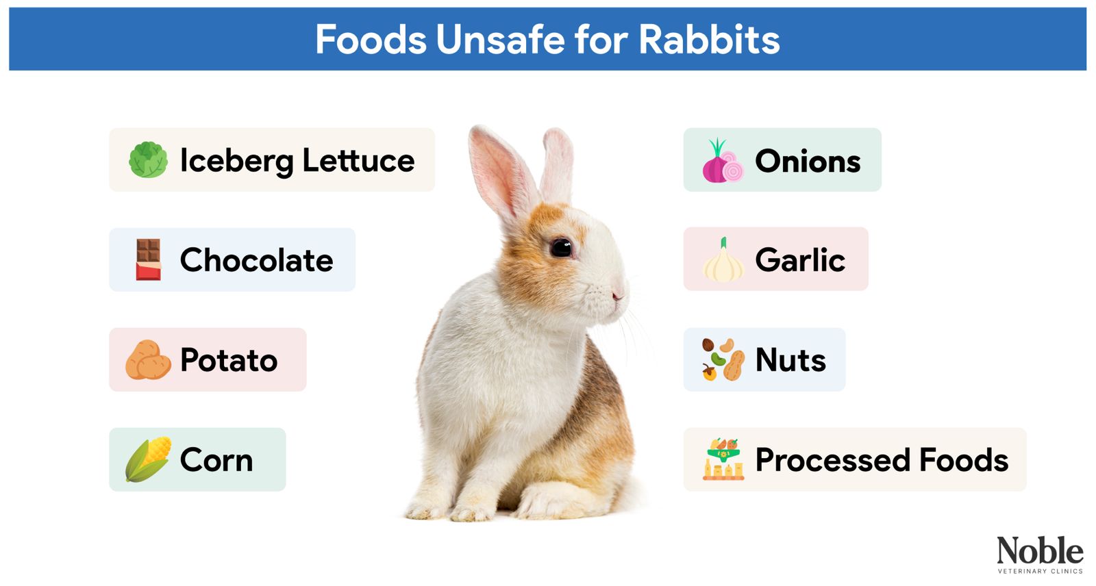 An infographic showing the foods that are bad for rabbits.