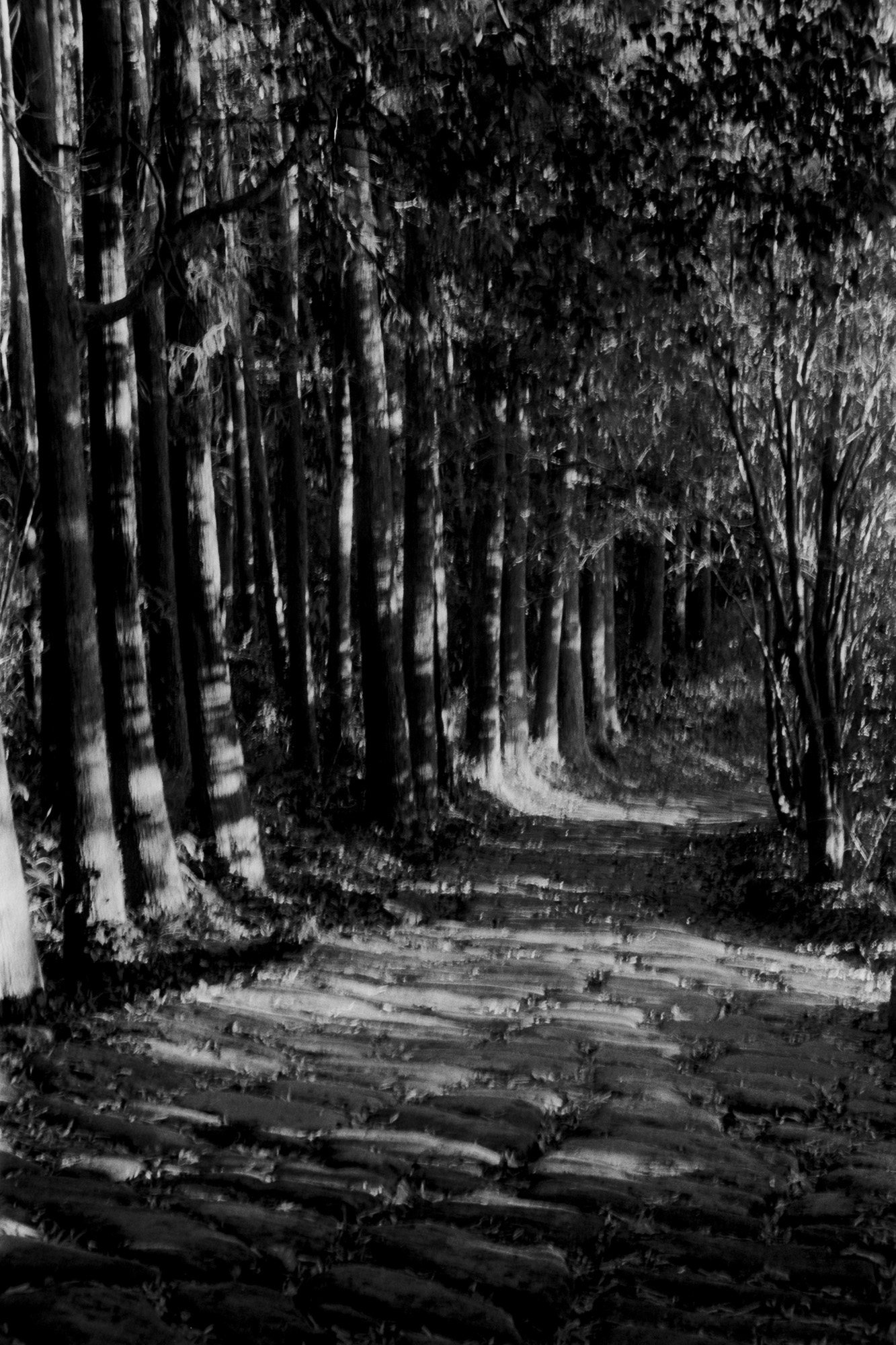 Taisei Matsumoto, archive random photograph 142