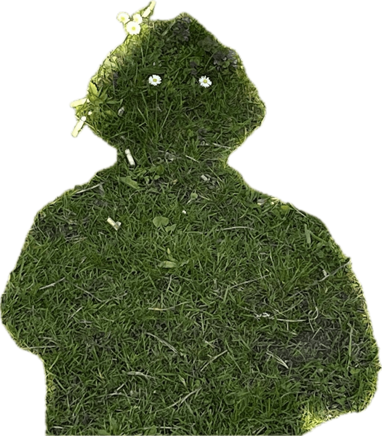 Illustrator