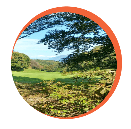 Speaker Presenting at Conference with Audience