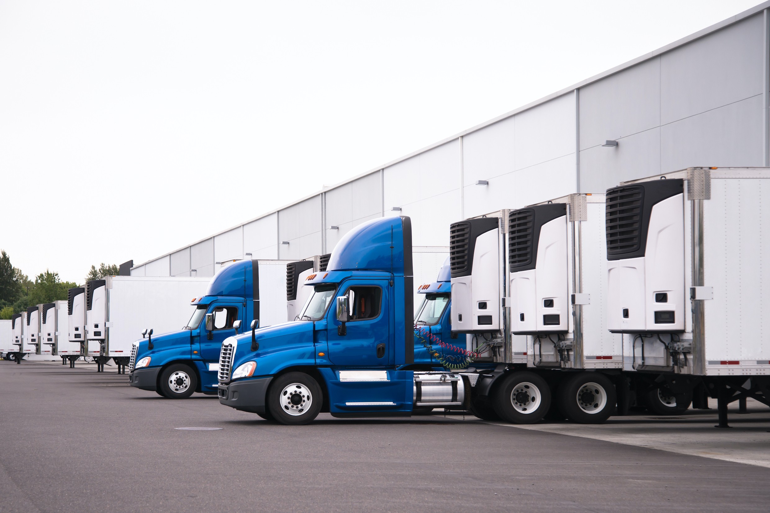 Blue and white trucks at terminal