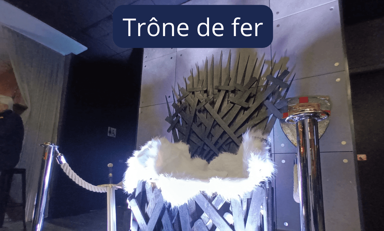 decor-soiree-theme-trone-de-fer.jpg