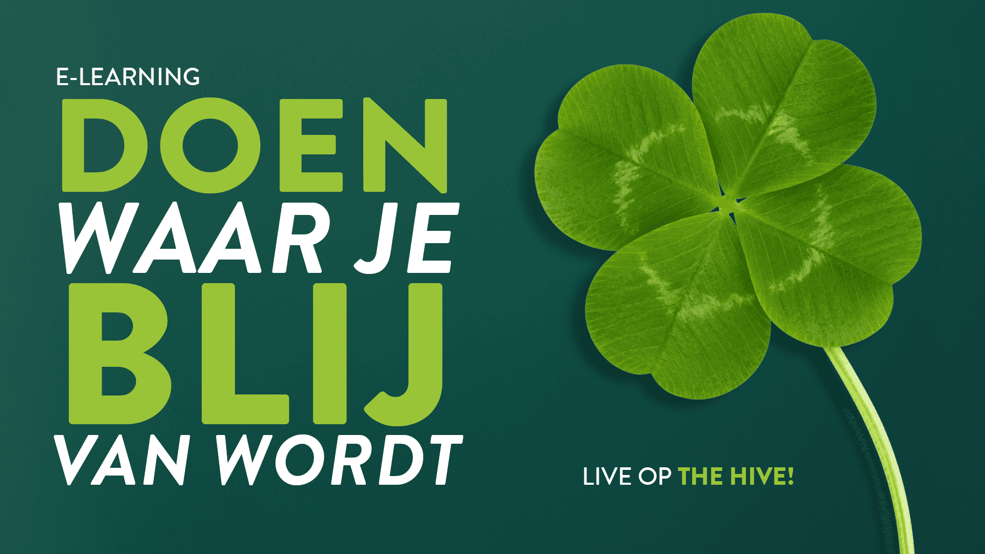 Doen waar je blij van wordt