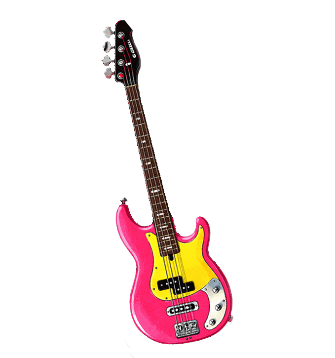 Bass Guitar