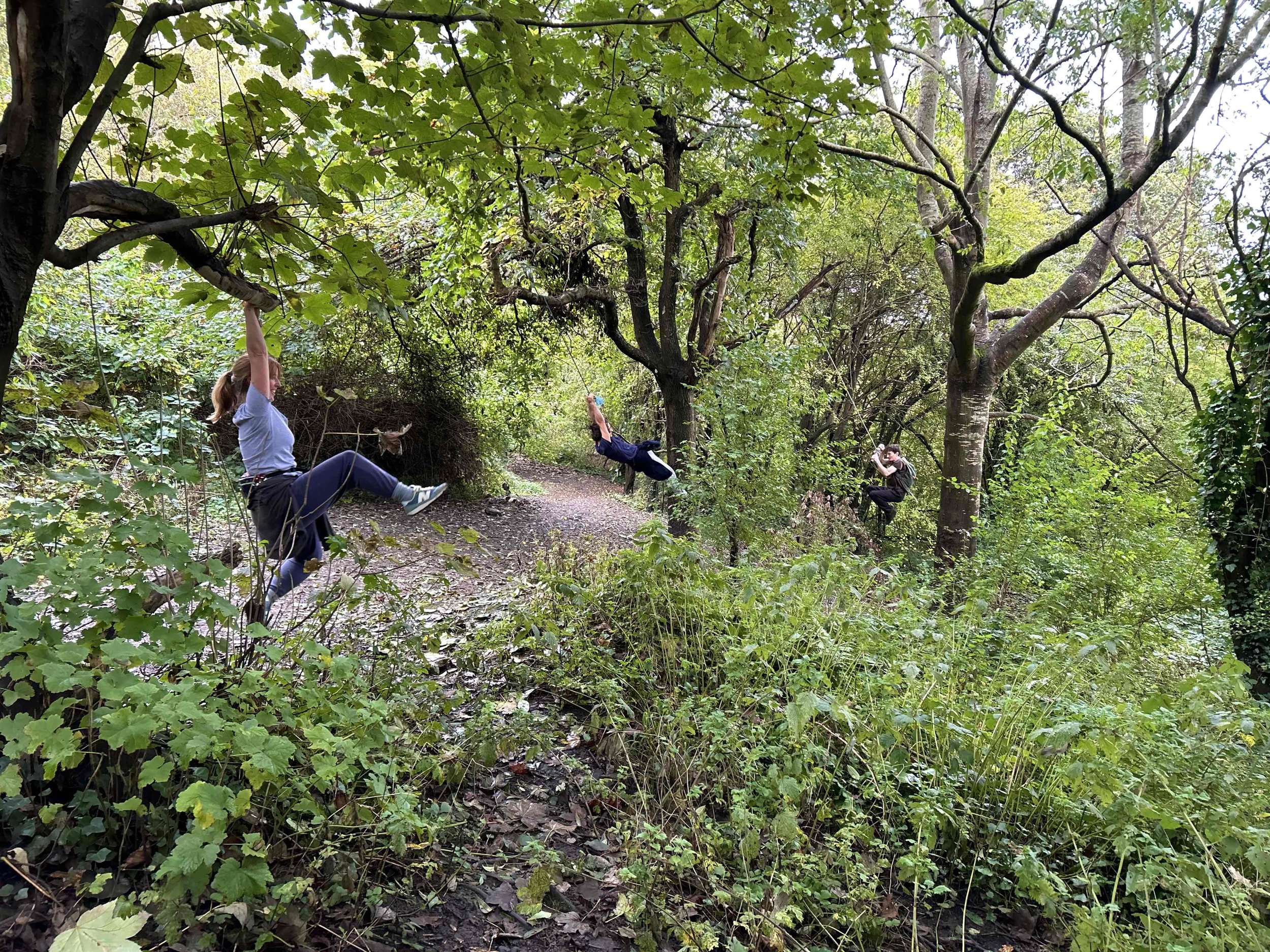 Tree to Tree Yoga session in the woods