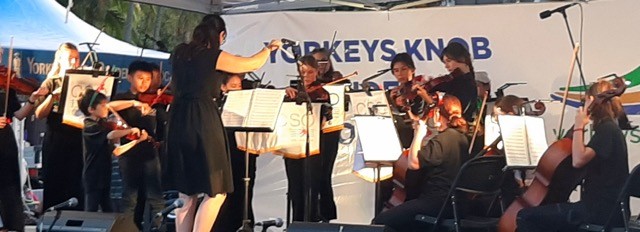 Orchstra performing a show 