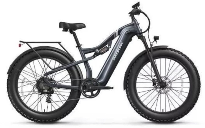 eBikes
