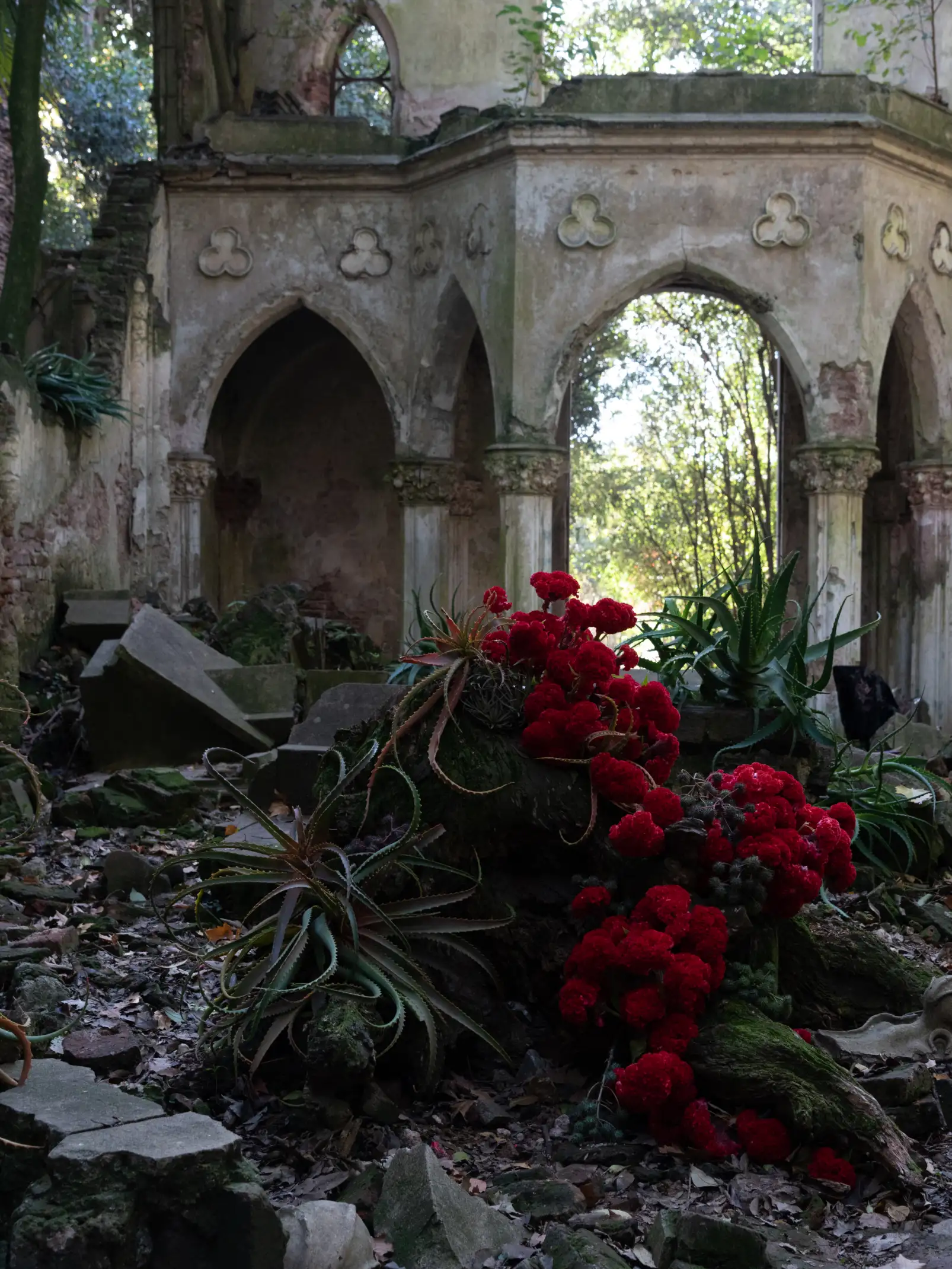 Fotografía de ruinas con flores rojas y vegetación suculenta para instalación botánica contemporánea, evocando contraste entre vida y decadencia.