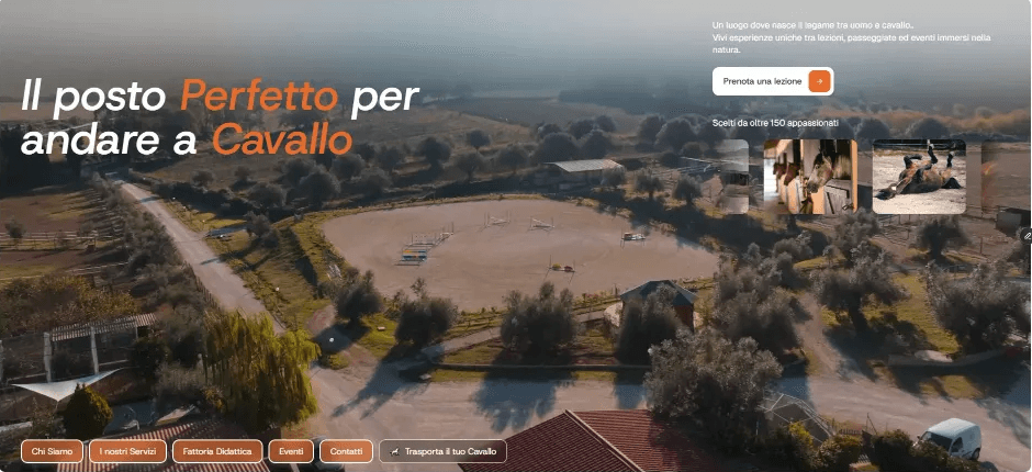 Sito web Ales Farm