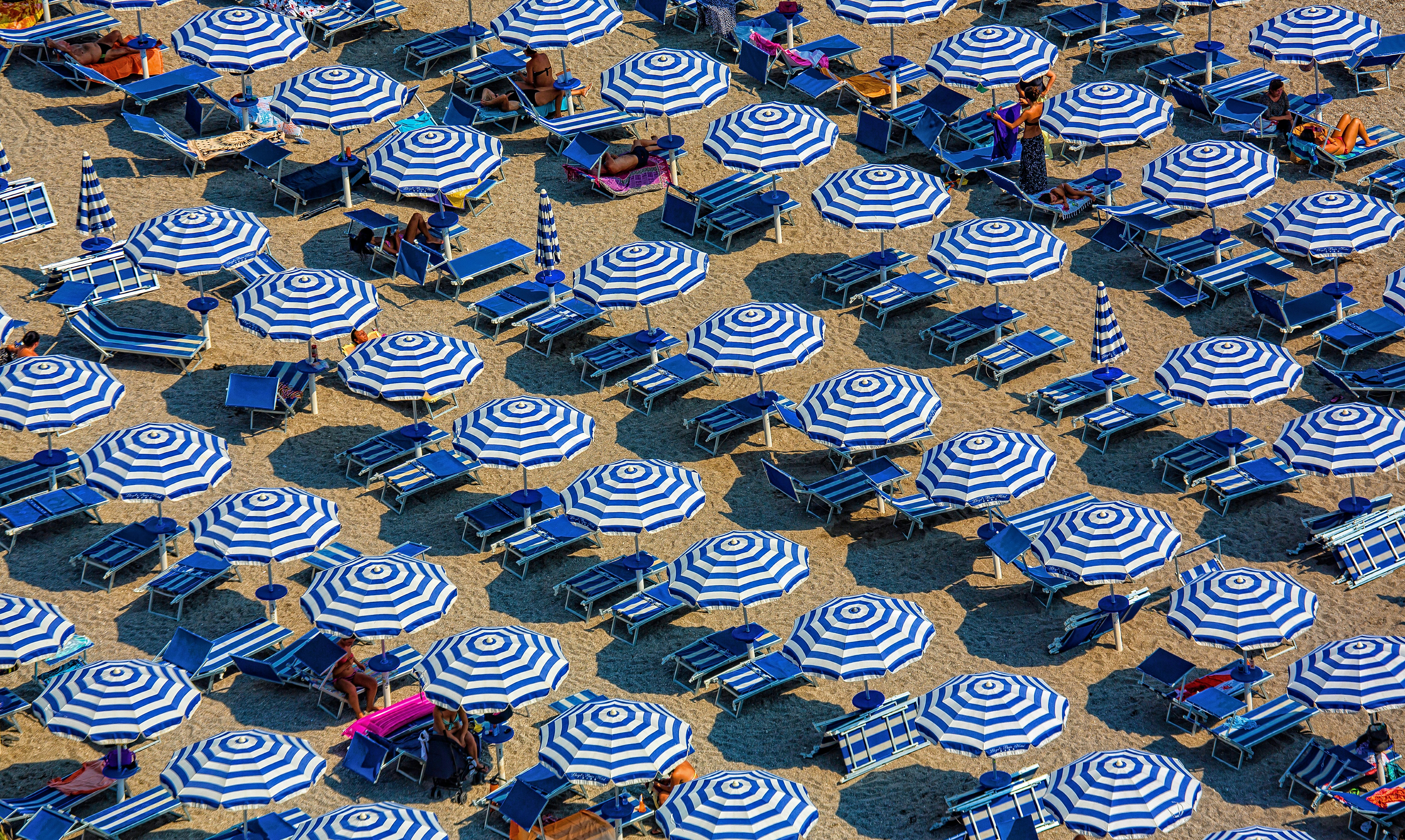 aerial photography of blue-and-white patio umbrellas