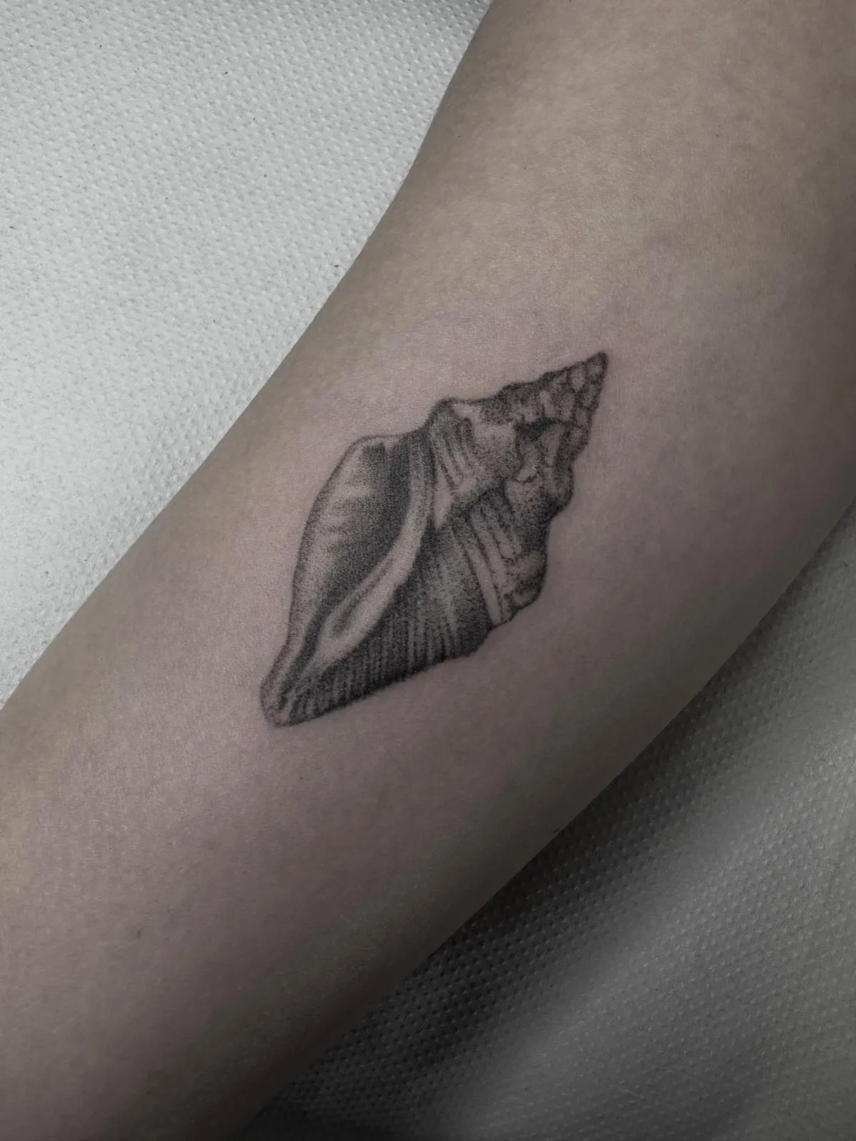 Tatuaje fine line de una concha en Móstoles (Madrid)