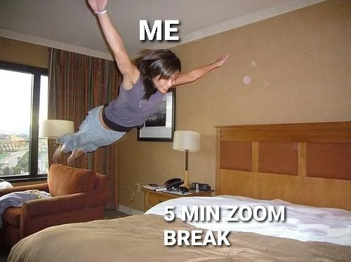 37 Zoom memes that made us cry