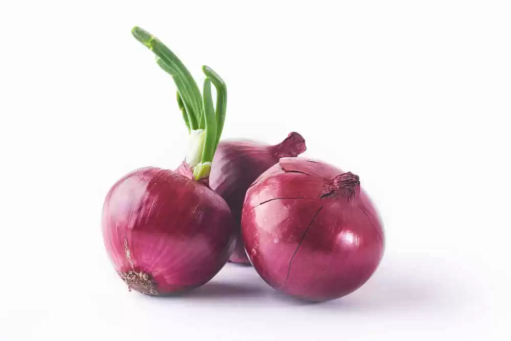 is onion good for diabetes