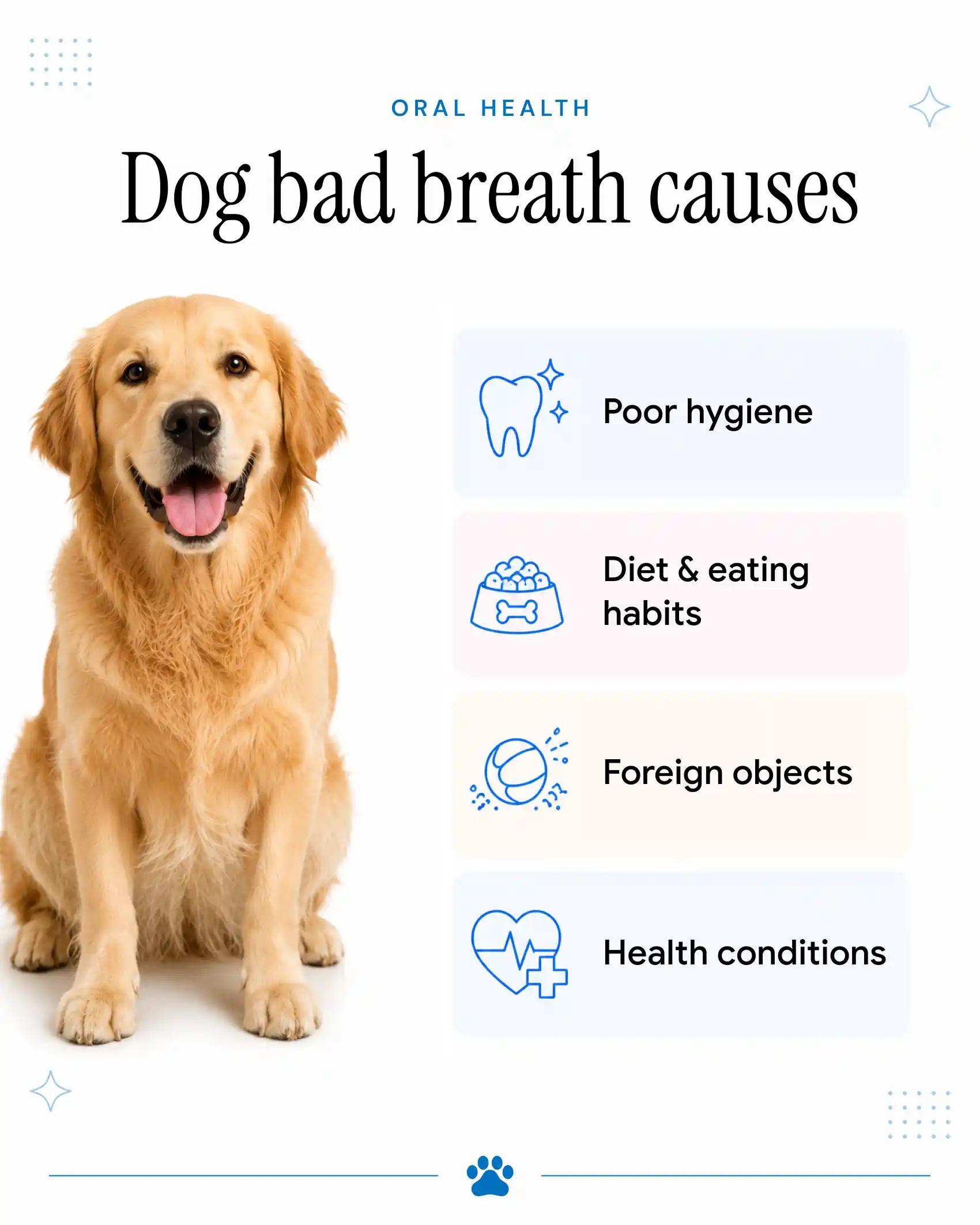 An infographic showing the causes of bad breath in dogs.