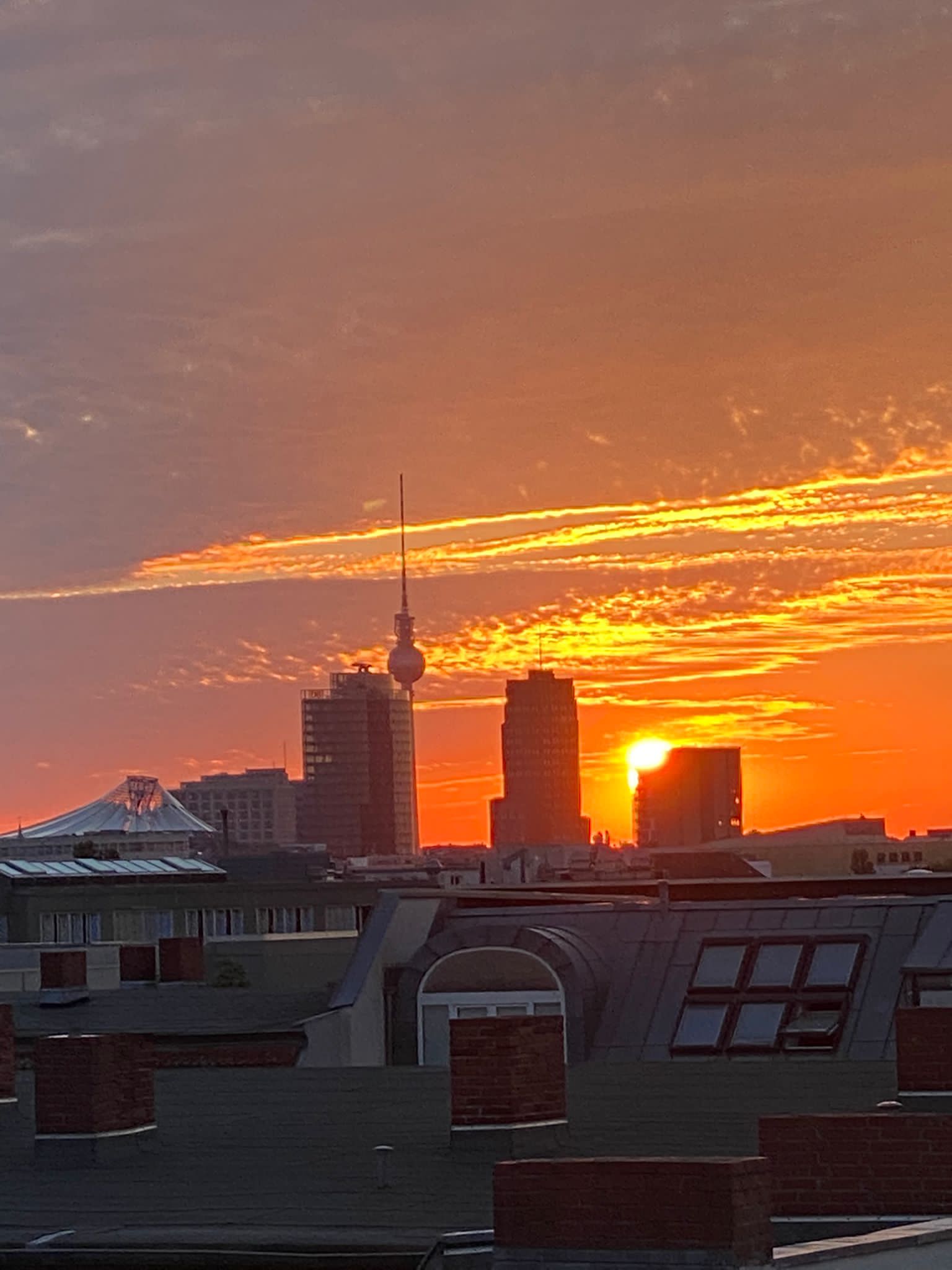 a brown dog sitting on top of a sandy beach