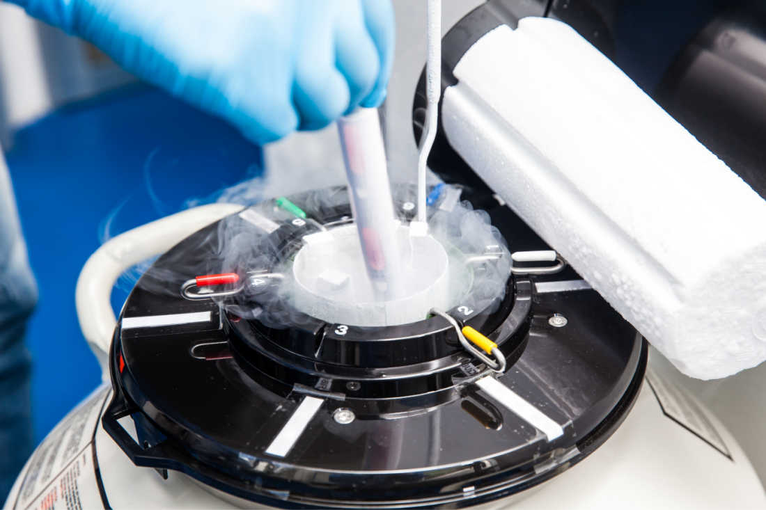 lab worker places a vial to cryogenic devar