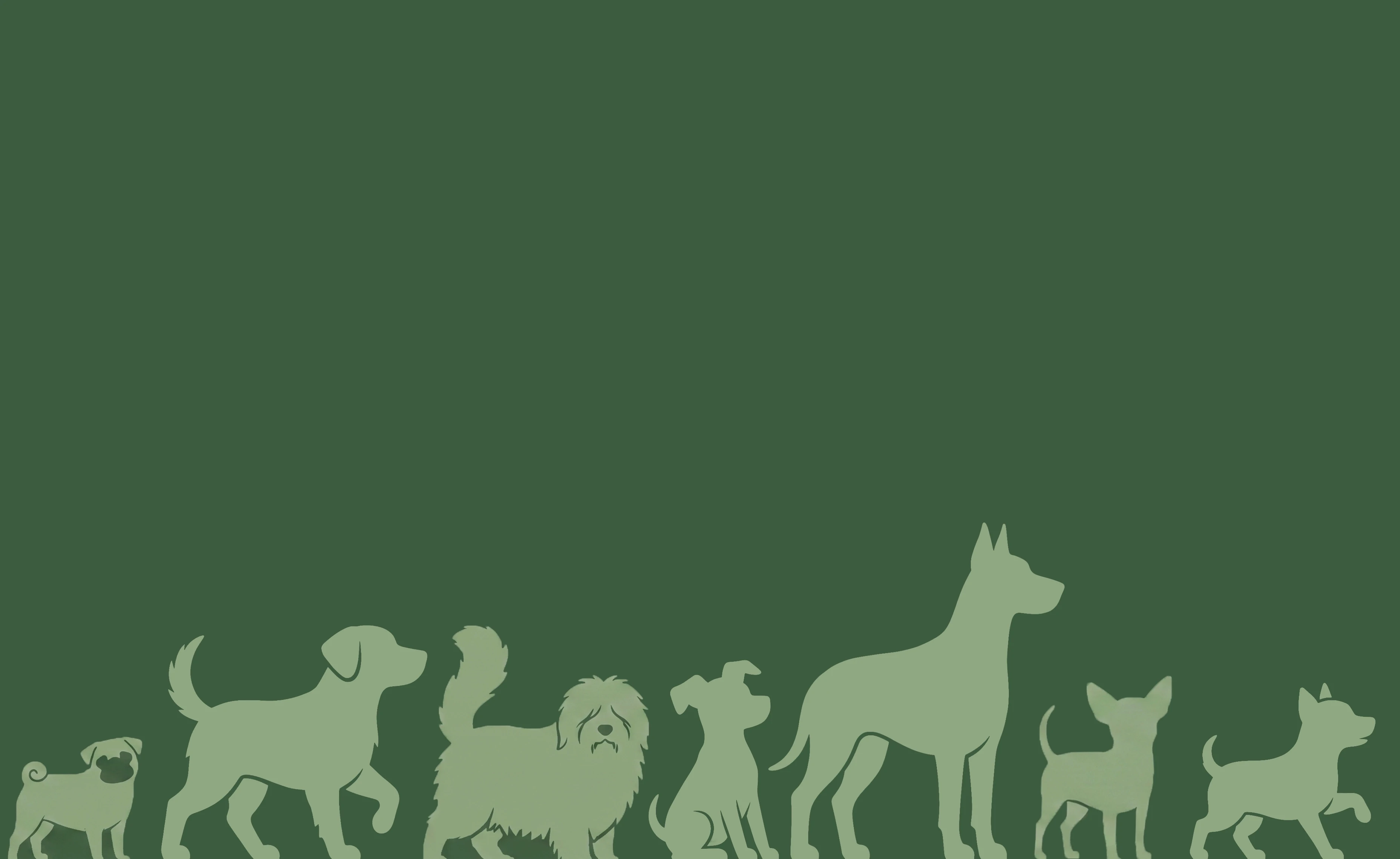 brand background image