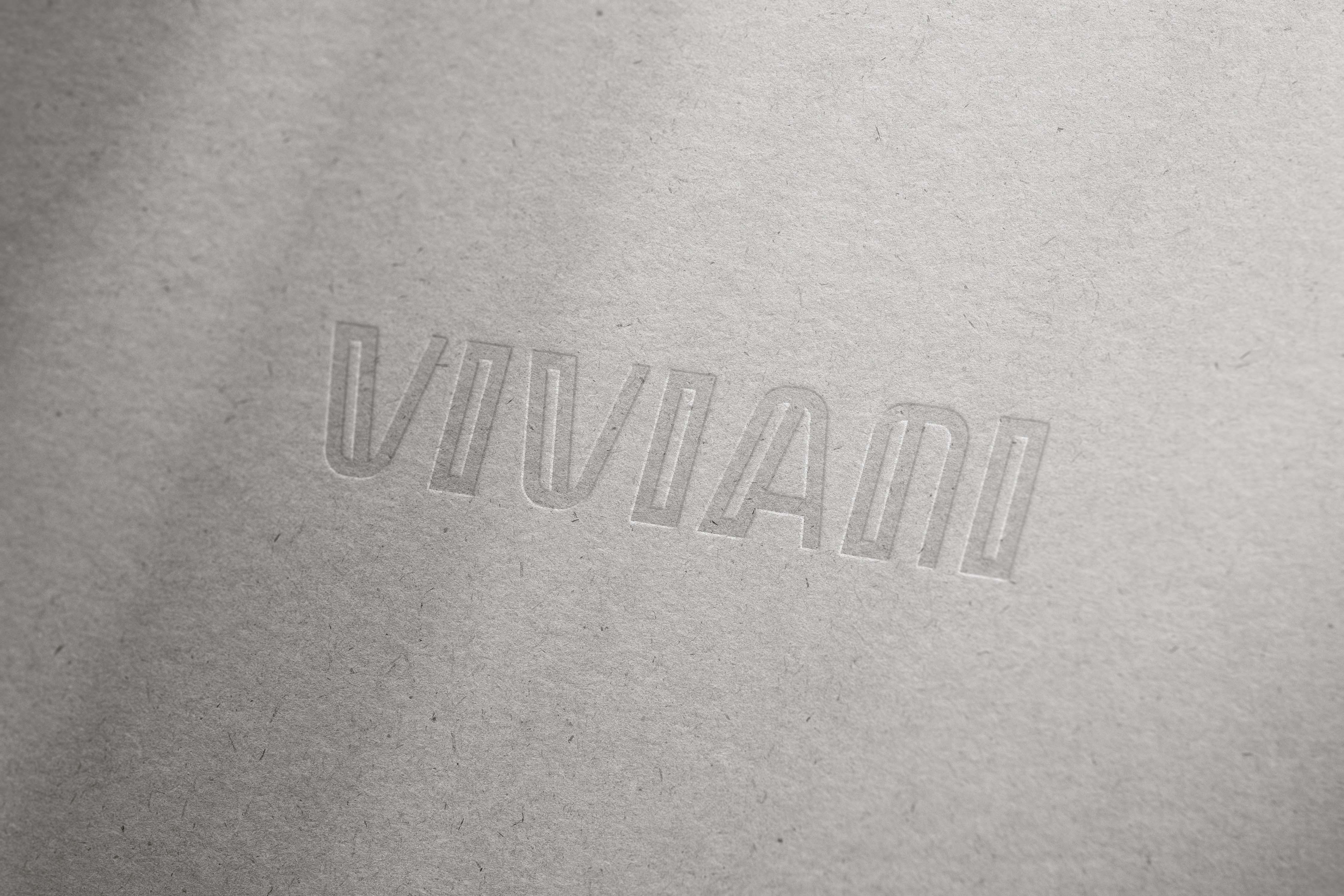 Blind embossed logotype on textured gray paper - Viviani, an office supplies brand identity.
