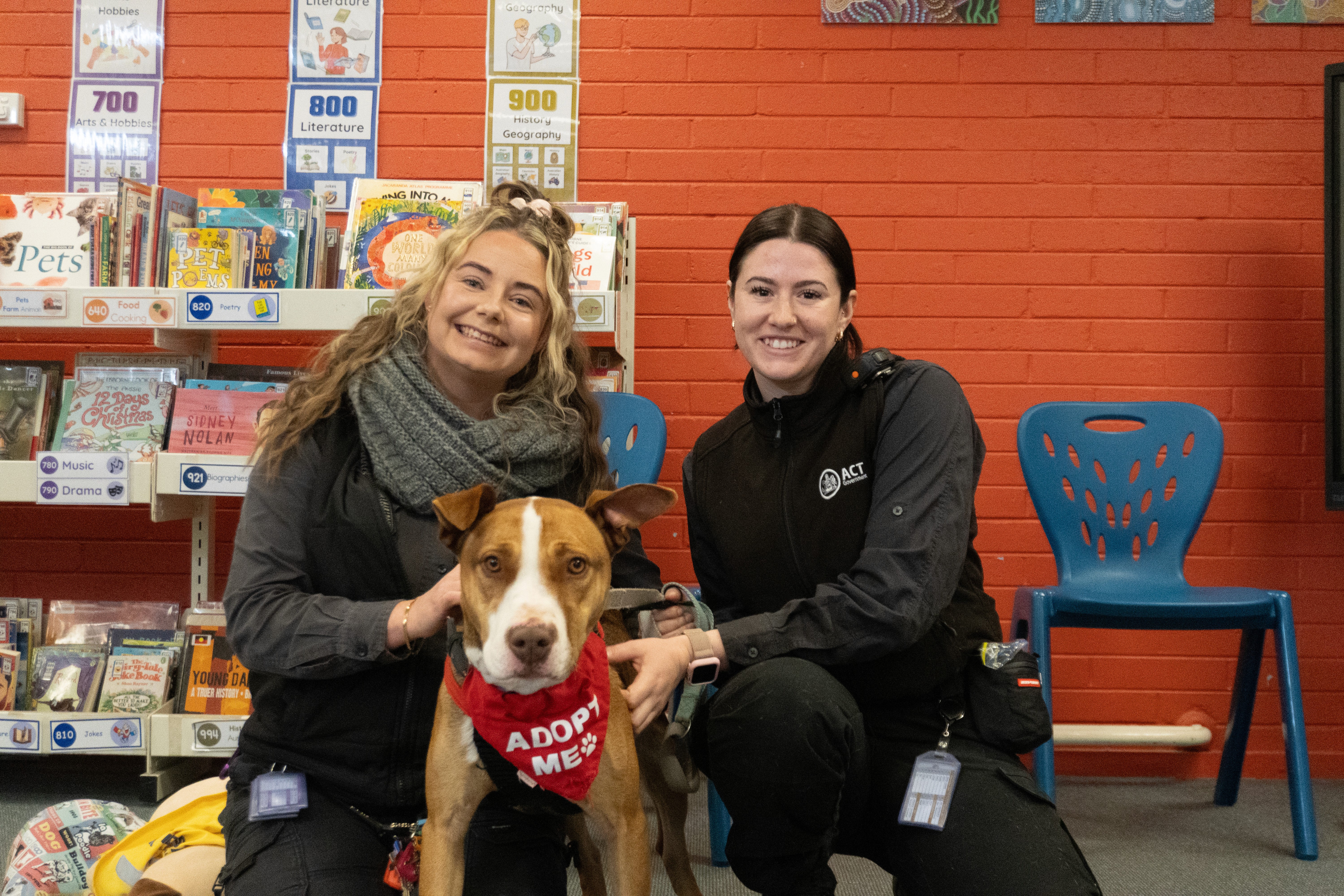 Bonnie the dog sitting with the staff from Domestic Animal Services