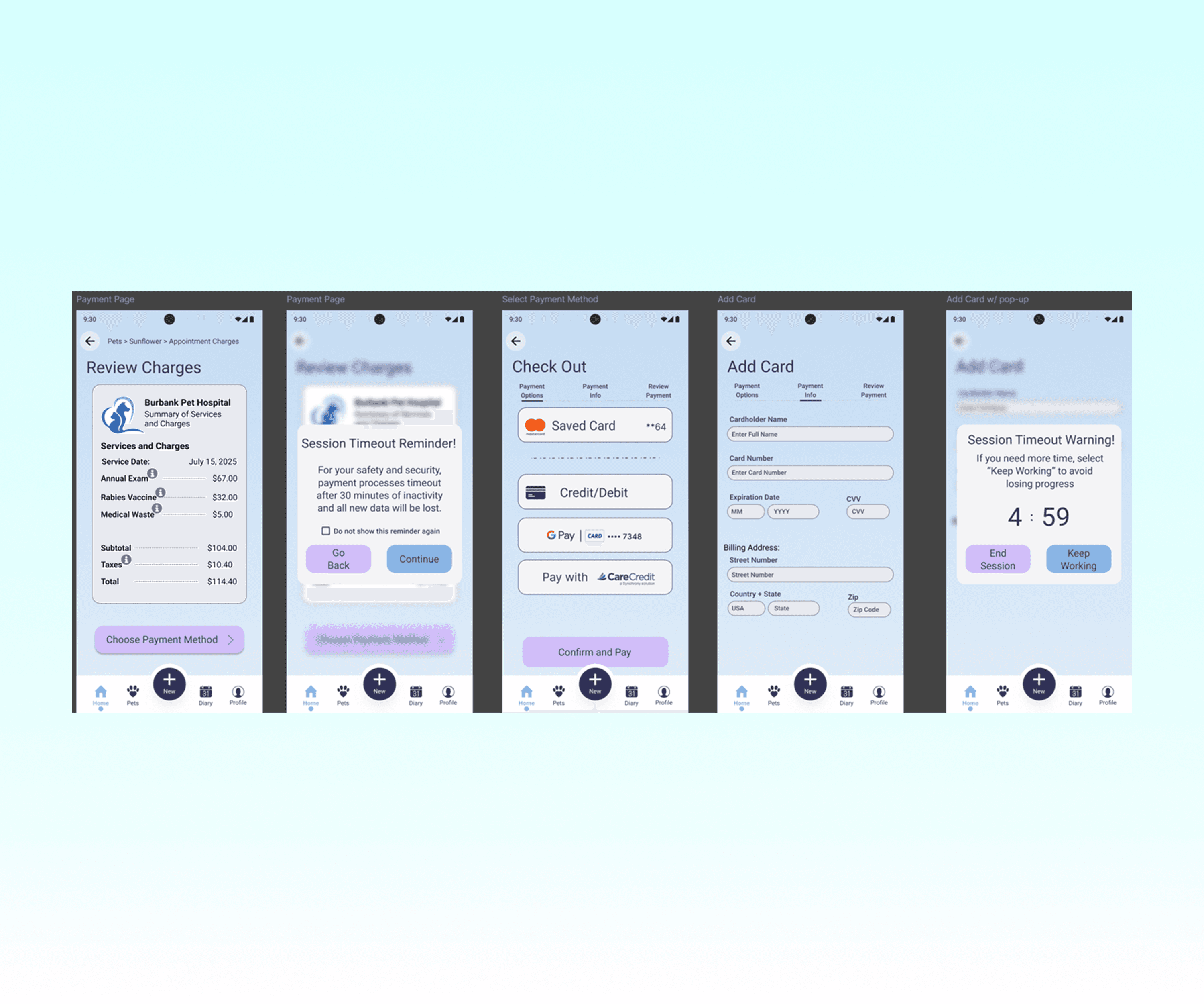 Payment Pathway Preview