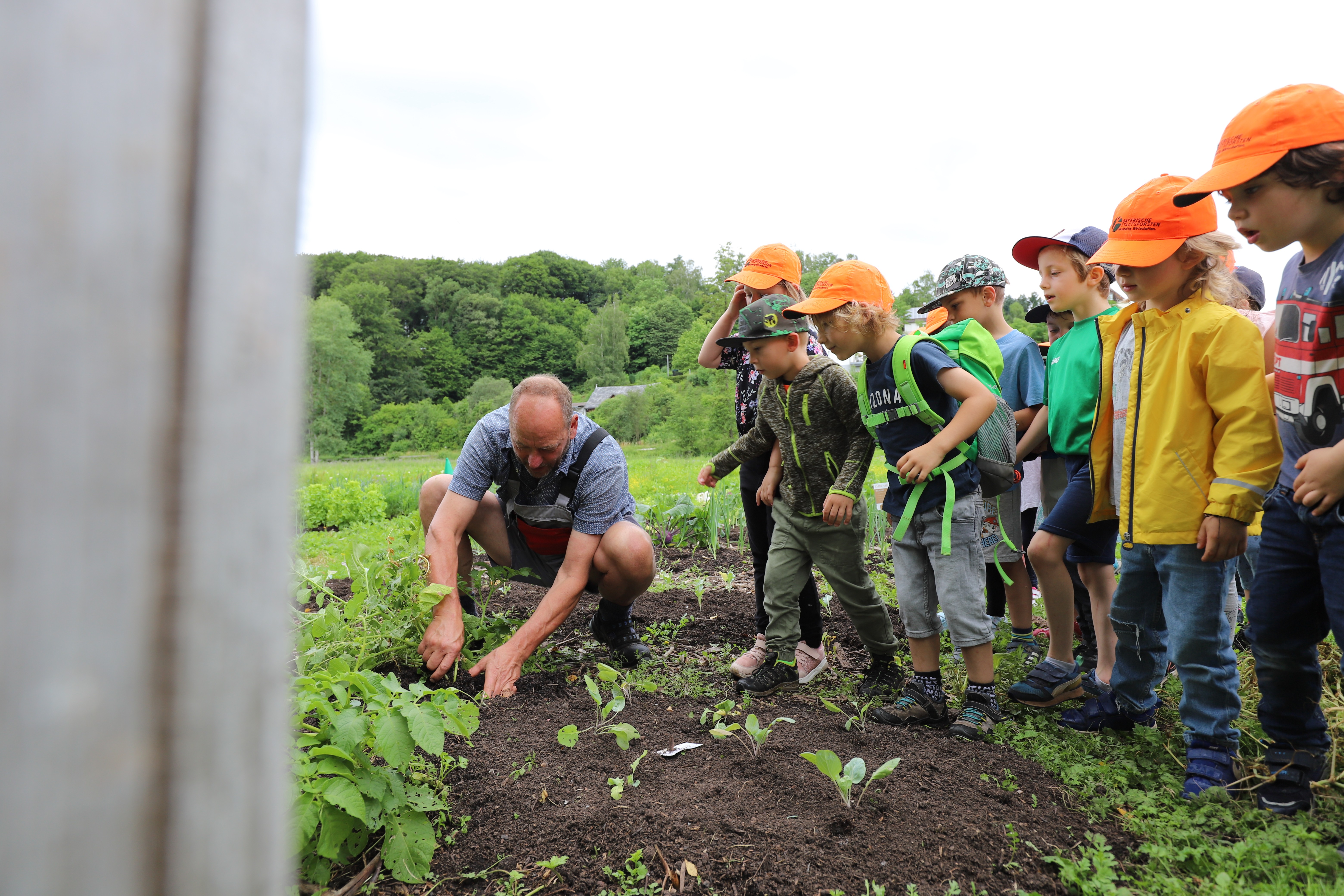 Landwirtschaft mit Schulklasse auf dem Hofgut Langenborn
