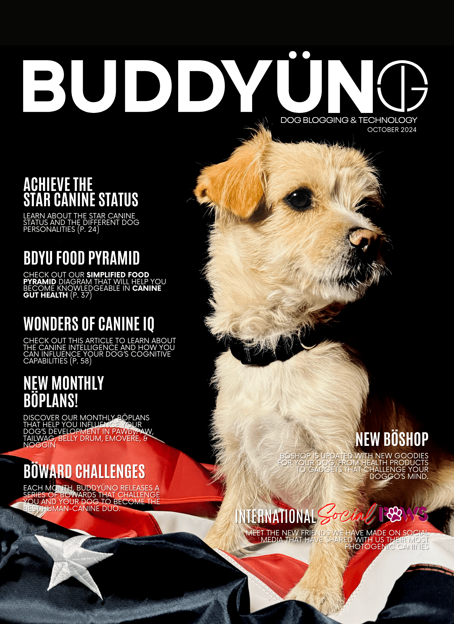 buddyuno, dog magazine, front cover