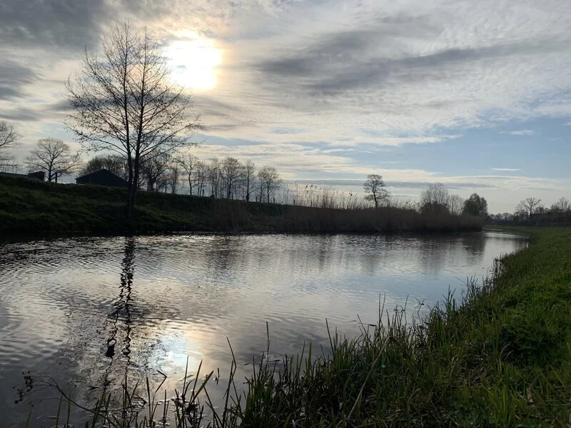 Groenlose slinge