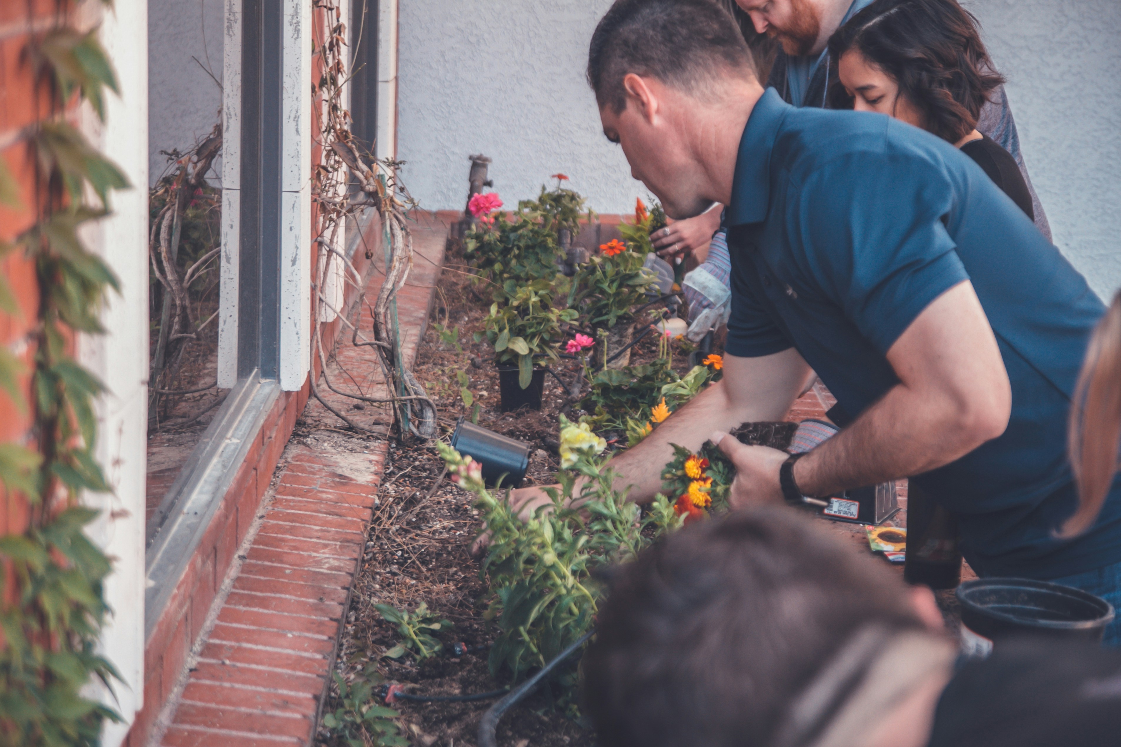 Gardener team at work