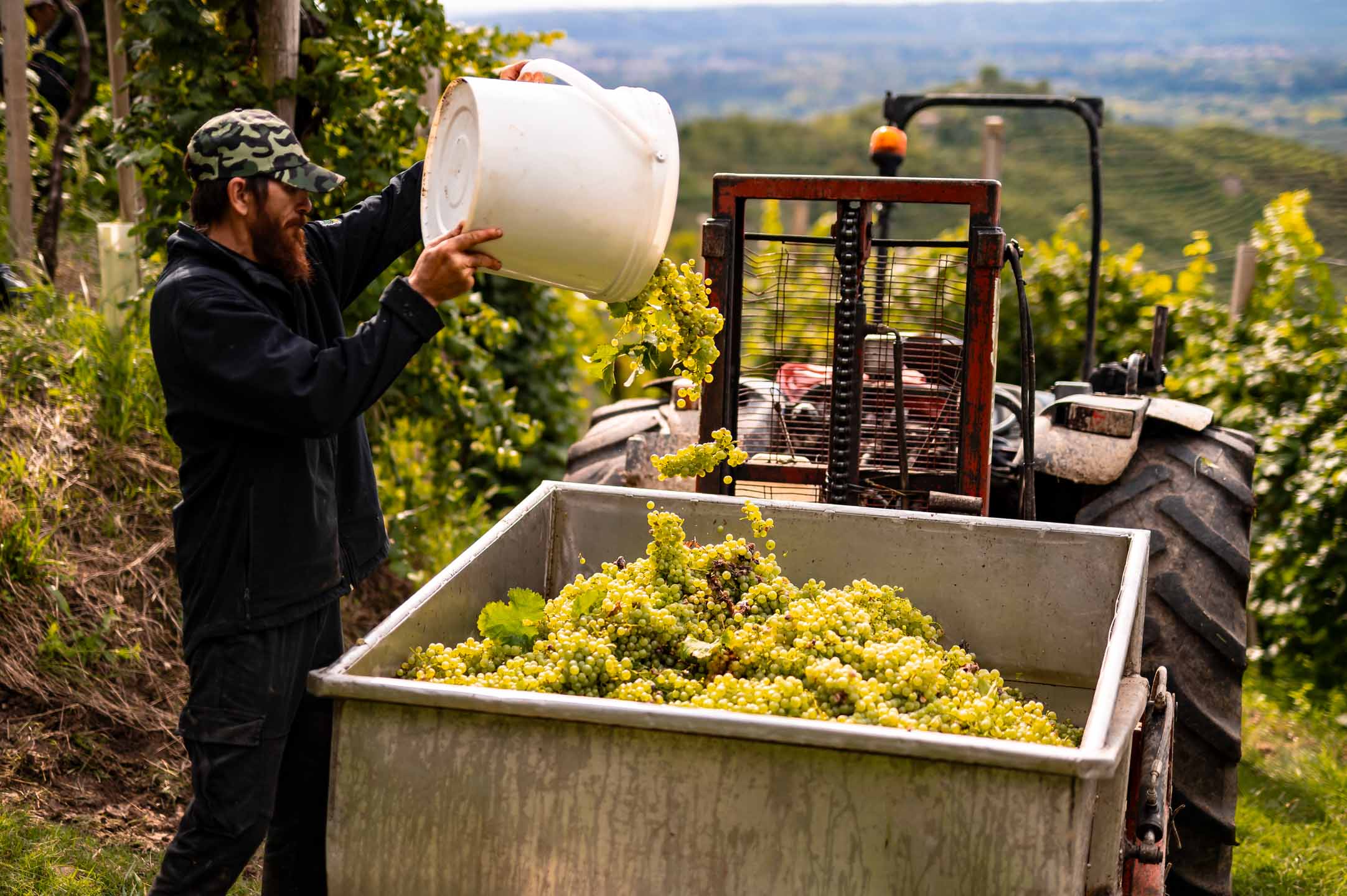 selective focus photography of bottles