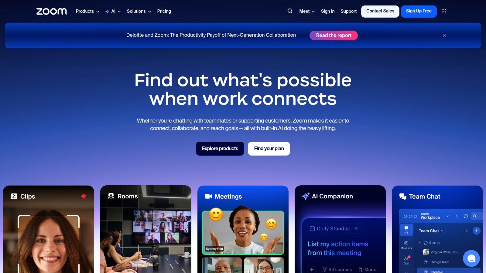 Zoom Workplace (Zoom)