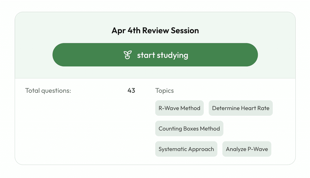 From Pdf To Flashcards In Seconds Jungle Blog