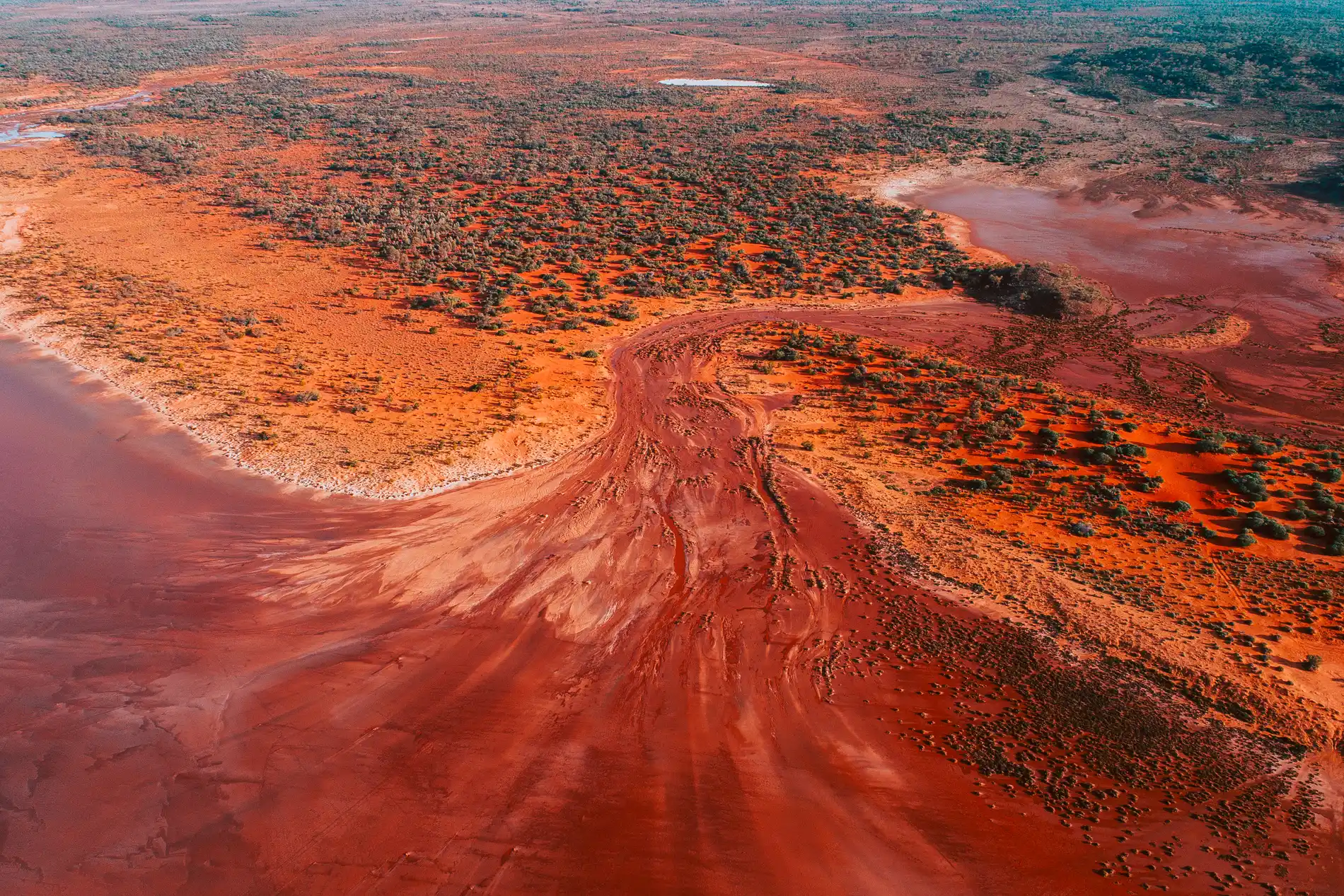 Aerial of red dunes and scrub braiding into a pale salt pan