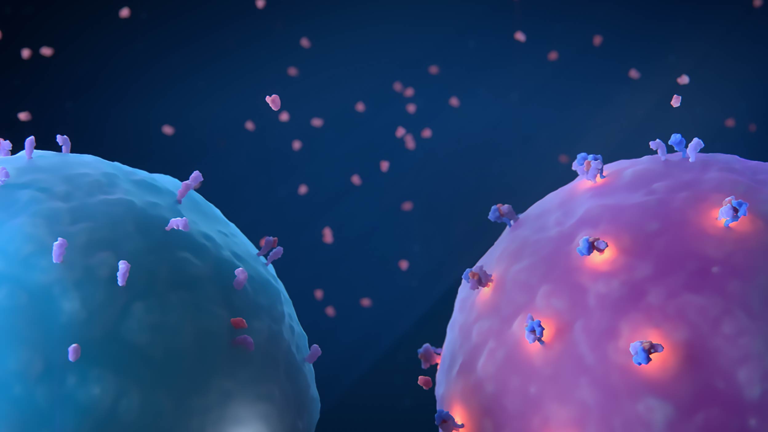 3D visualization of CD8 positive T cell and and off-target immune cell