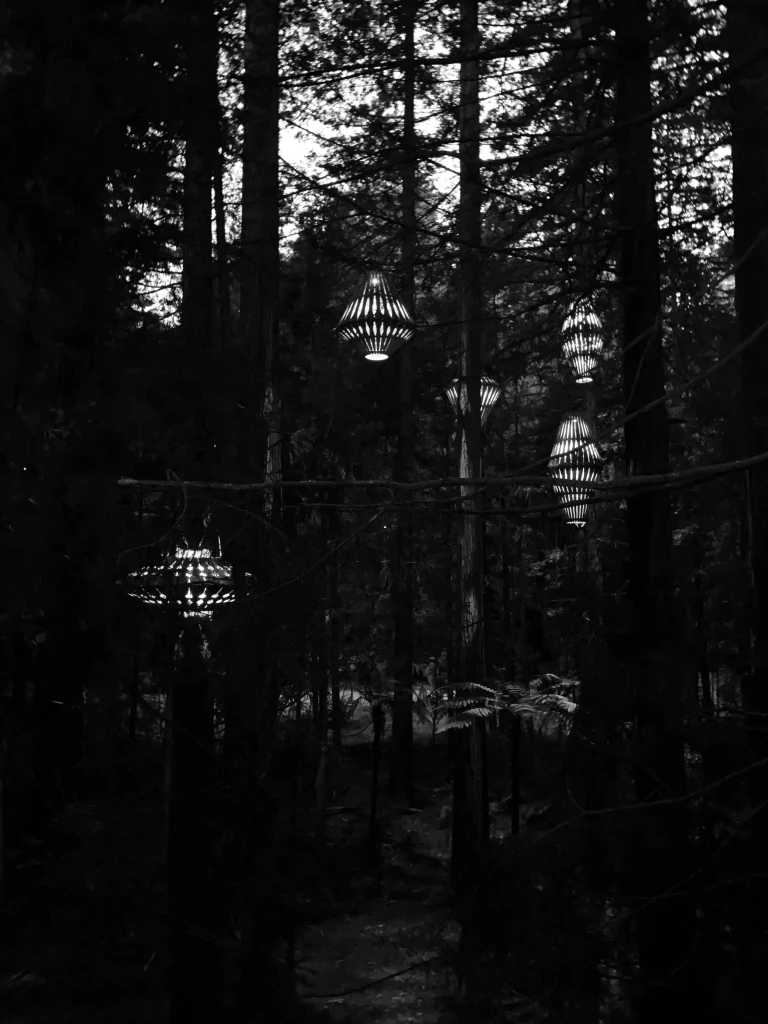 Redwoods Treewalk forest lights in Rotorua, New Zealand, a popular destination for private jet charter travellers