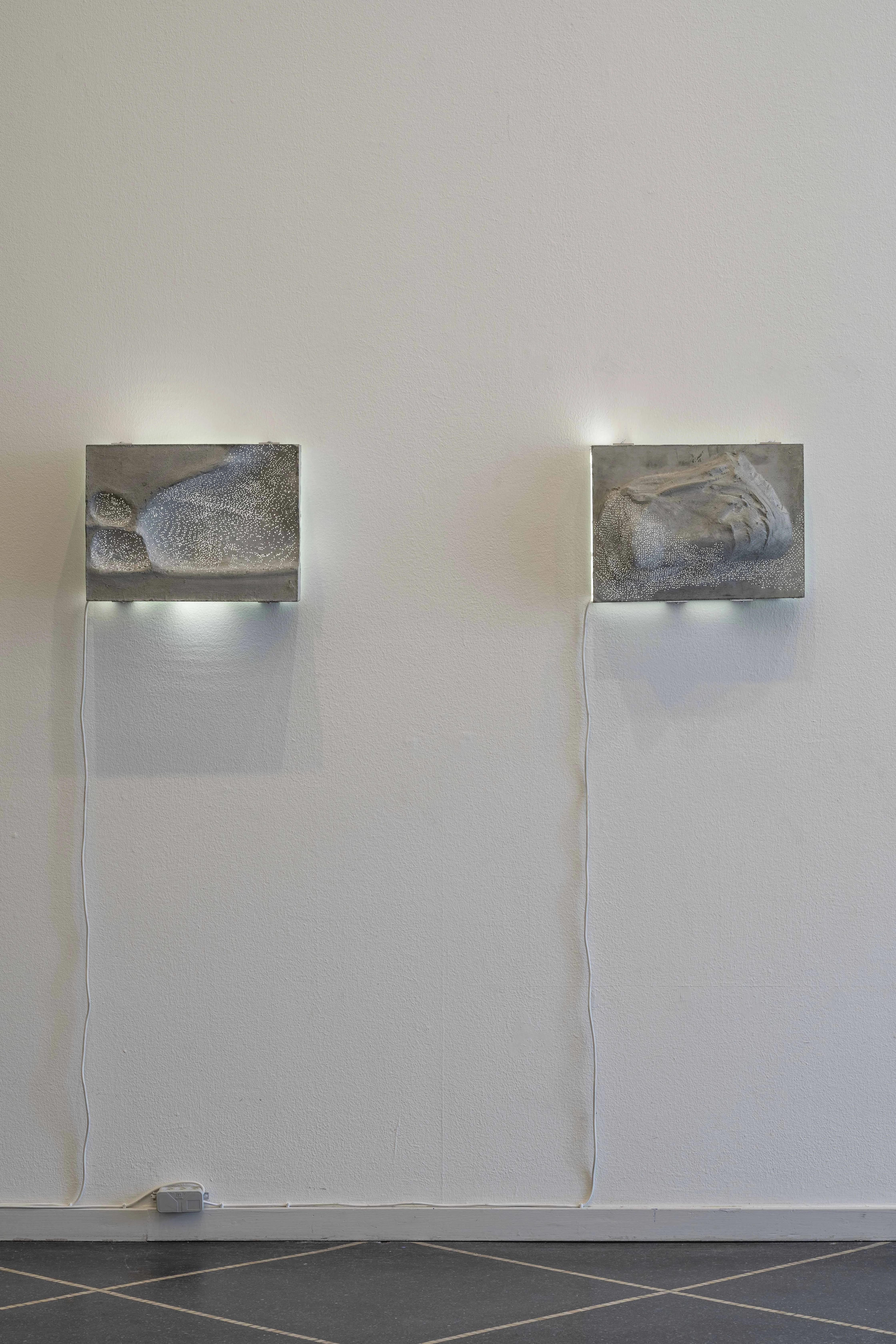 Excess and Melancholy. Installation view. Solo show. Gallery Susanne Ottesen, Copenhagen 