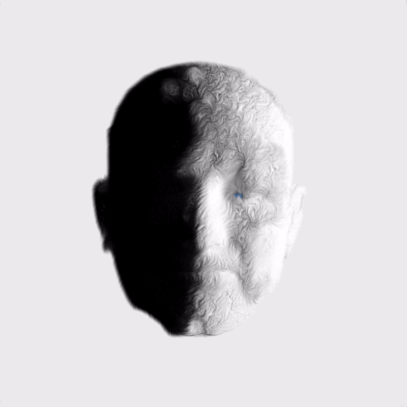 Forest Simon Unsplash