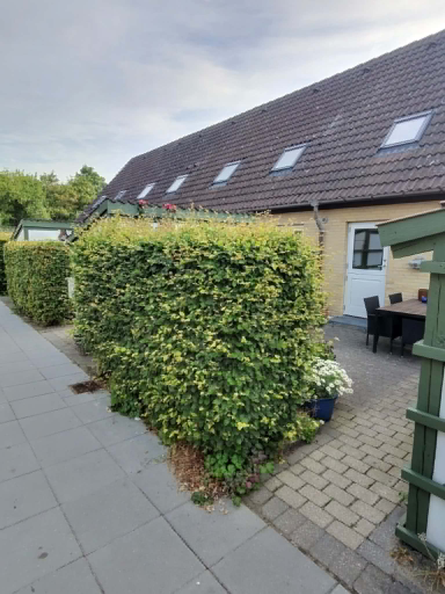 Hæk og ryddet terrasse