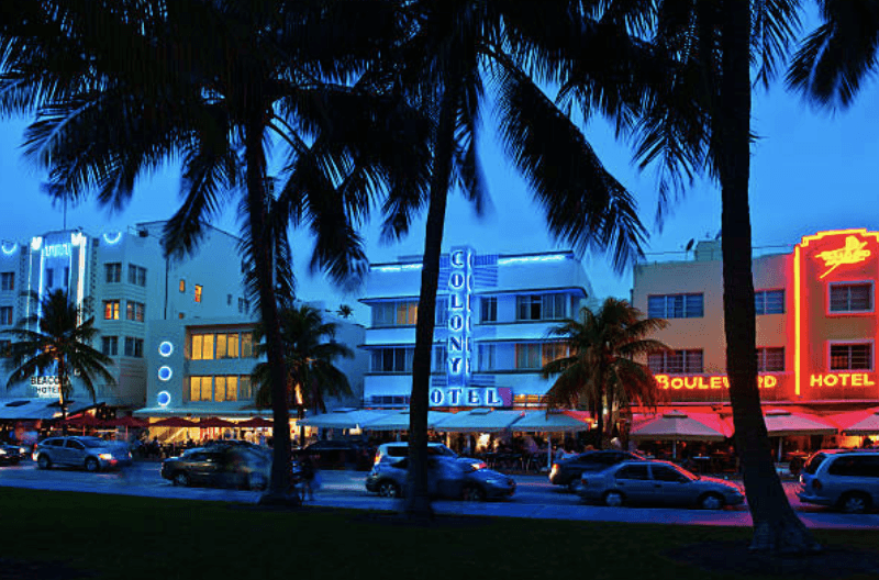 a dropping bottle with bird of paradise flower