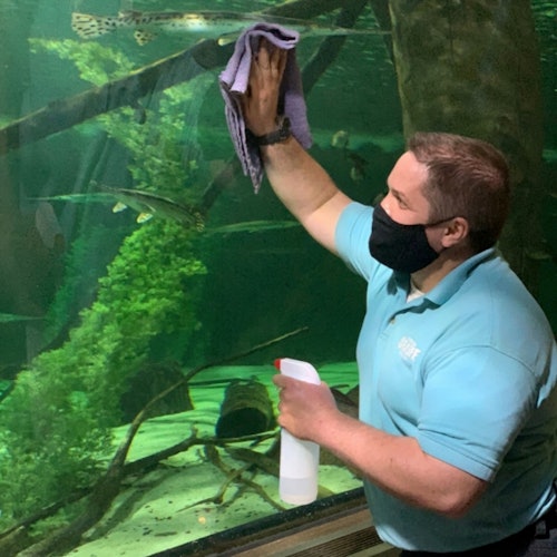 一個穿著淺藍色襯衫和黑色口罩的男人，用布和噴霧瓶清潔水族箱的玻璃。