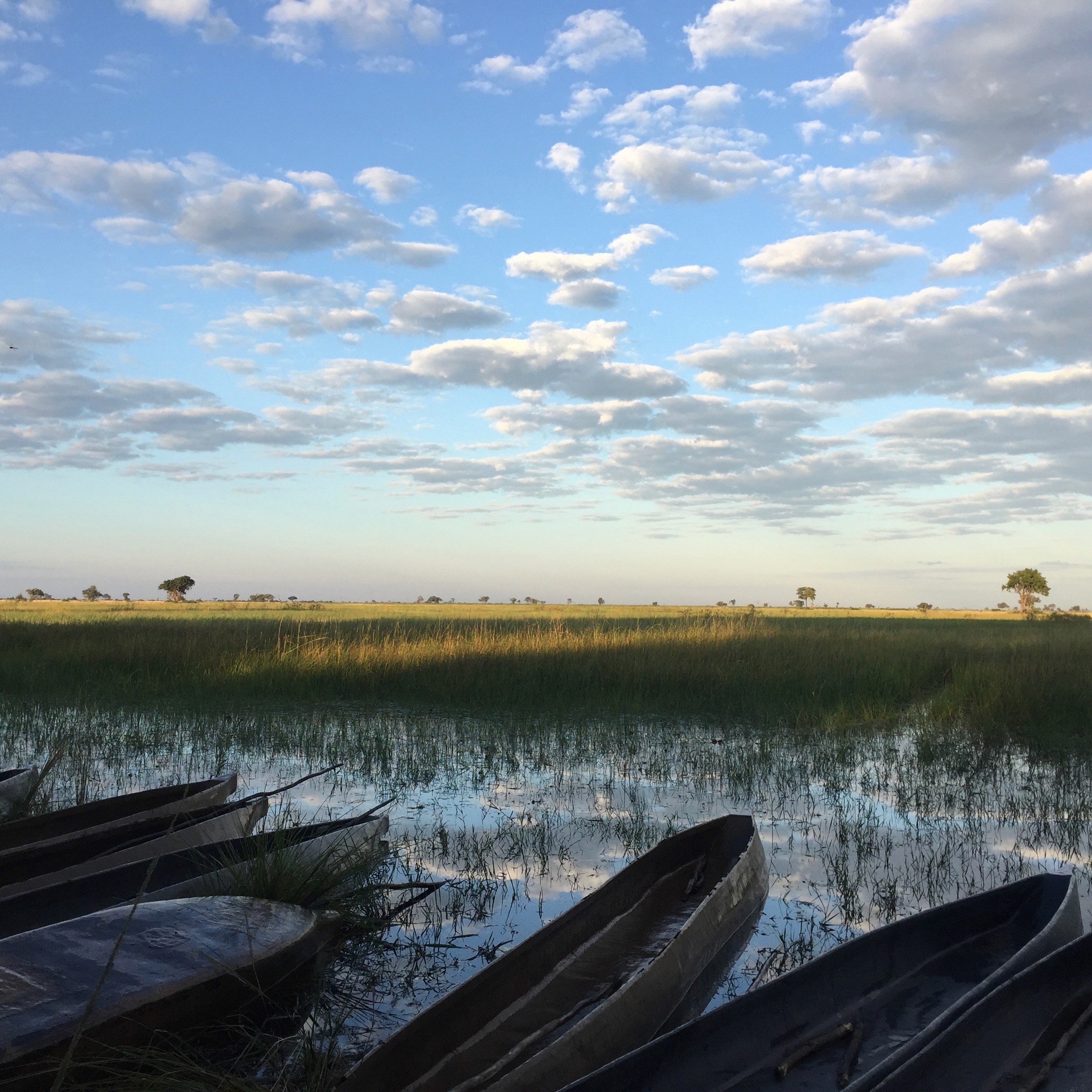 Mokoros on the Okavango Delta, Botswana