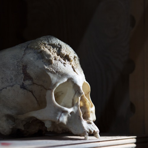 在昏暗的空间中，一个人类头骨静静地放在表面上，突显出其裂纹和质感。