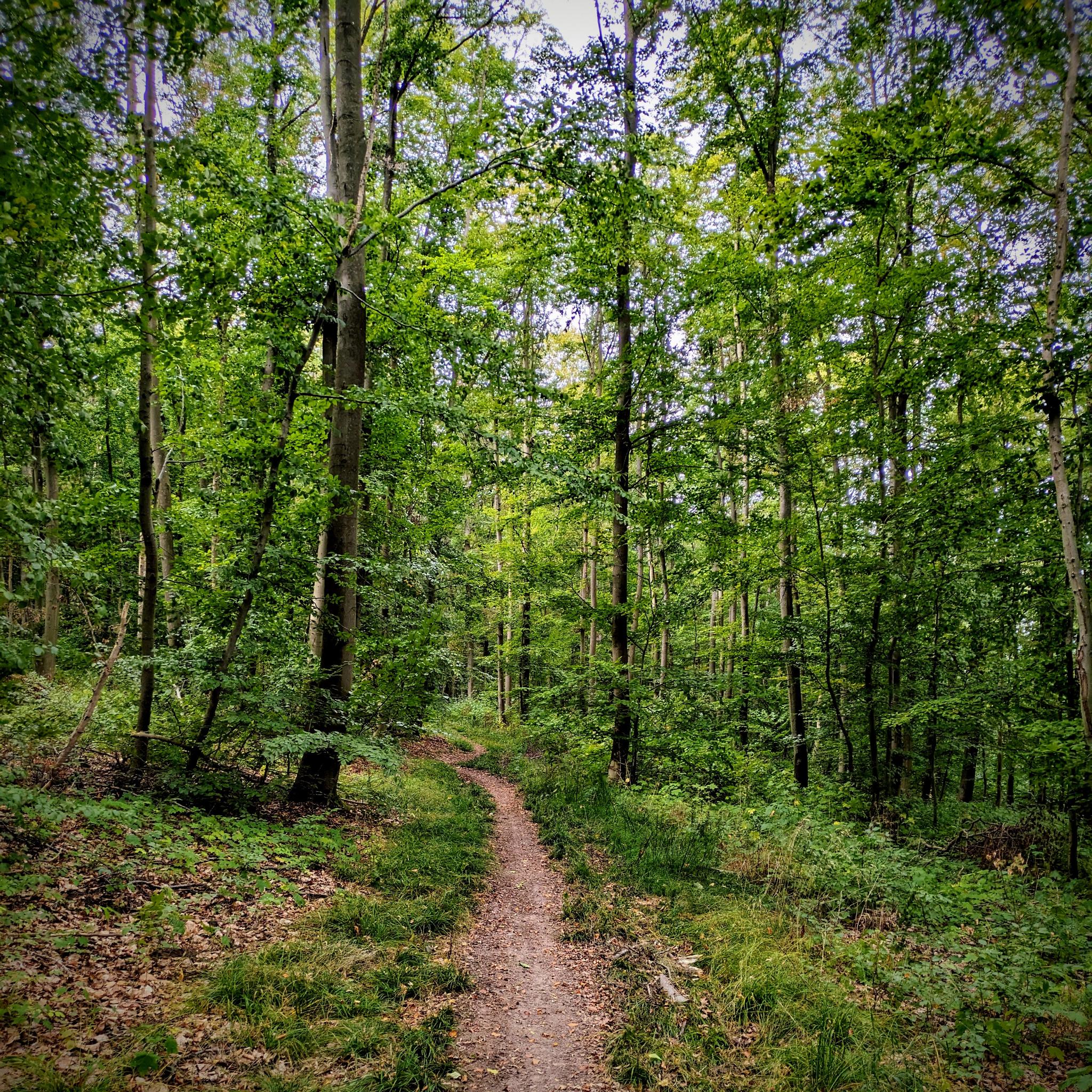 an aerial view of a city with a river running through it