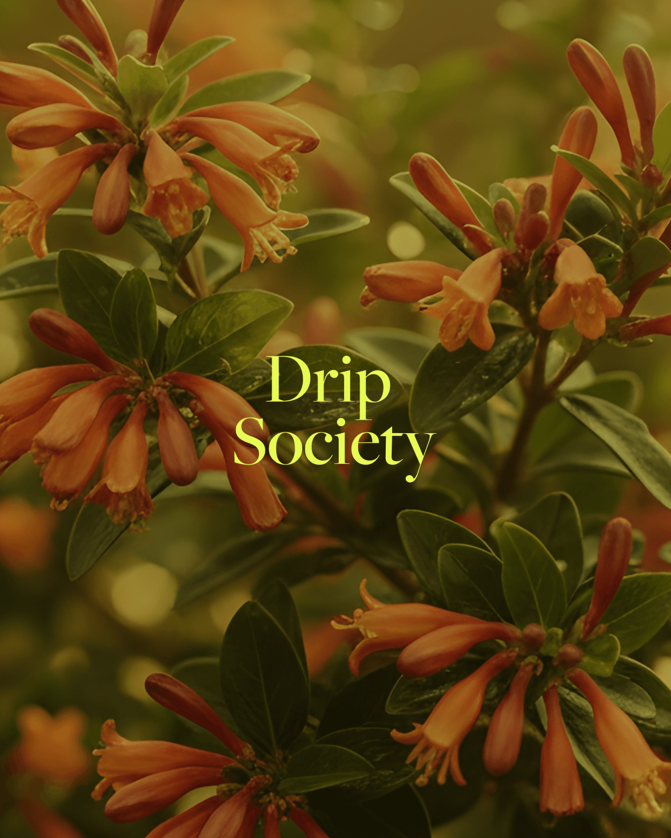 Man walking through a monochrome urban street