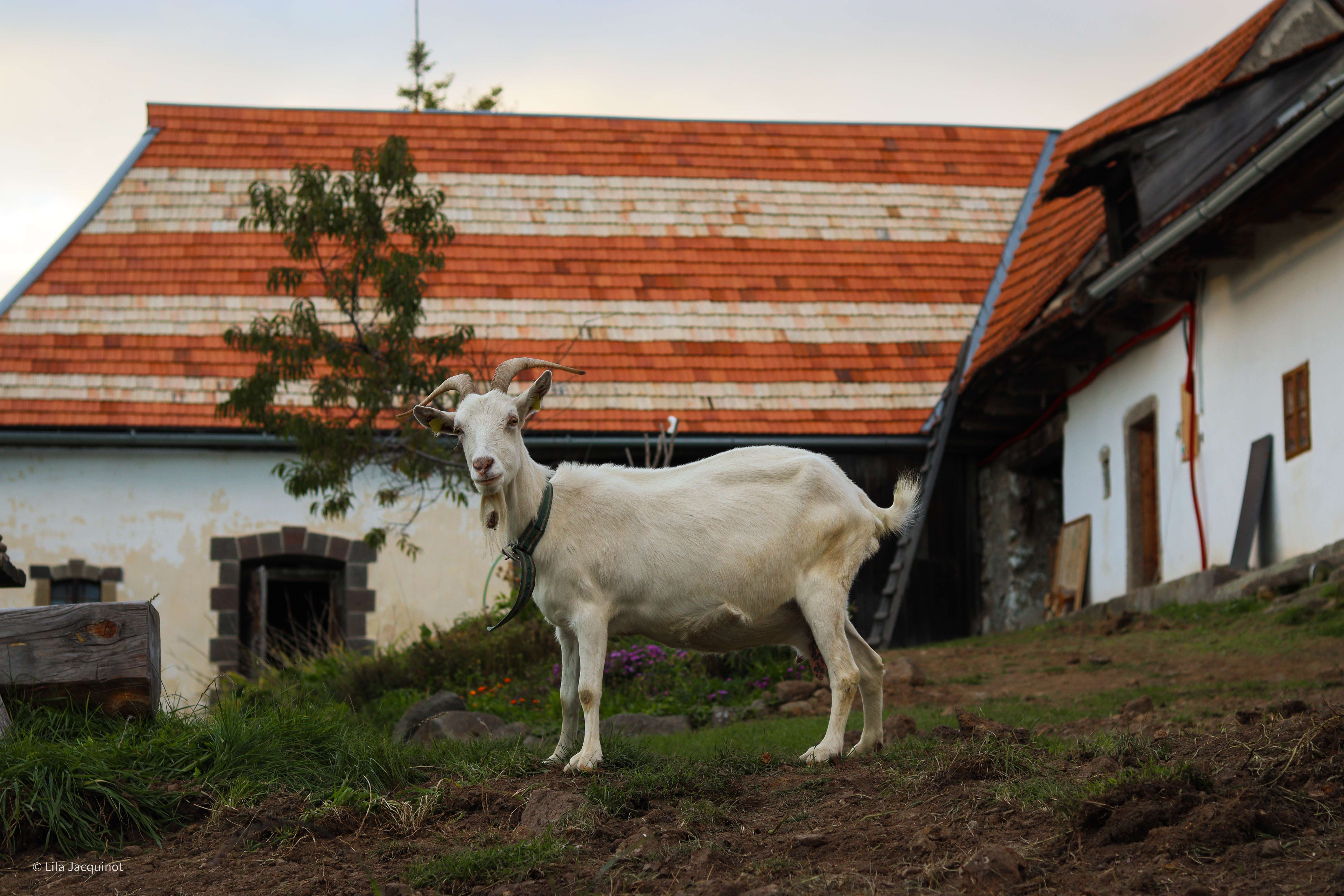 A smiling young man with crossed arms, wearing a plaid shirt and white t-shirt, poses against a dark background.